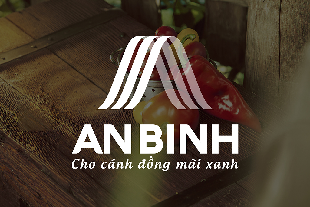 Thiết kế thương hiệu An Bình