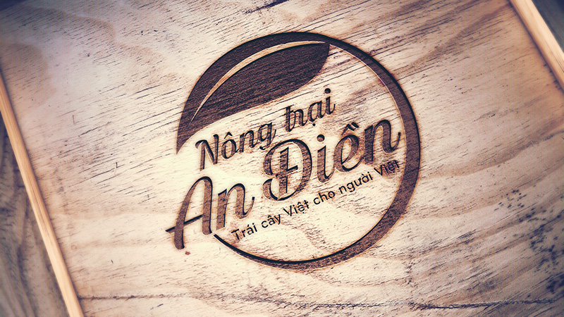 Thiet ke logo Hung Thinh 1