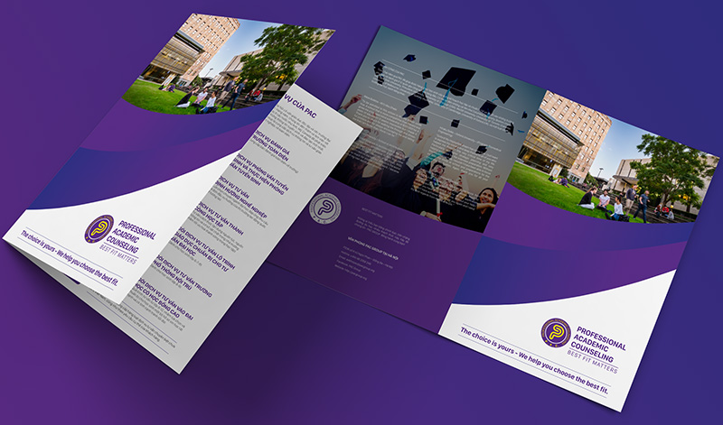Banner Thiết kế brochure trung tâm tư vấn đào tạo PAC
